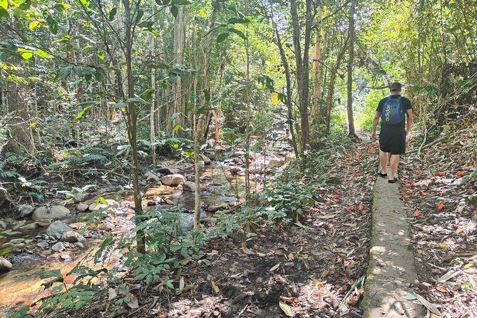 16 Lines Zipline, Cave, Hiking & Biausevu Waterfall Combo Tour - What the included lunch and transport are worth