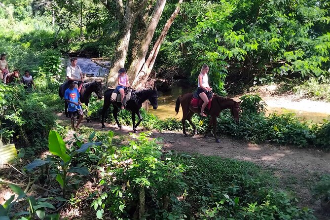 16 Lines Zipline, Cave, Hiking & Biausevu Waterfall Combo Tour - What to pack for the zipline and waterfall