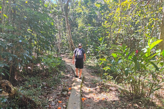 16 Lines Zipline, Cave, Hiking & Biausevu Waterfall Combo Tour - Who will enjoy this Coral Coast adventure most