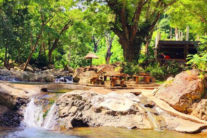 6 Hours Giant Zipline Adventure Park in Fiji - Flying through Fiji’s Sleeping Giant forest