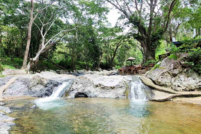 6 Hours Giant Zipline Adventure Park in Fiji - Seven lines, 700 meters, and plenty of jungle