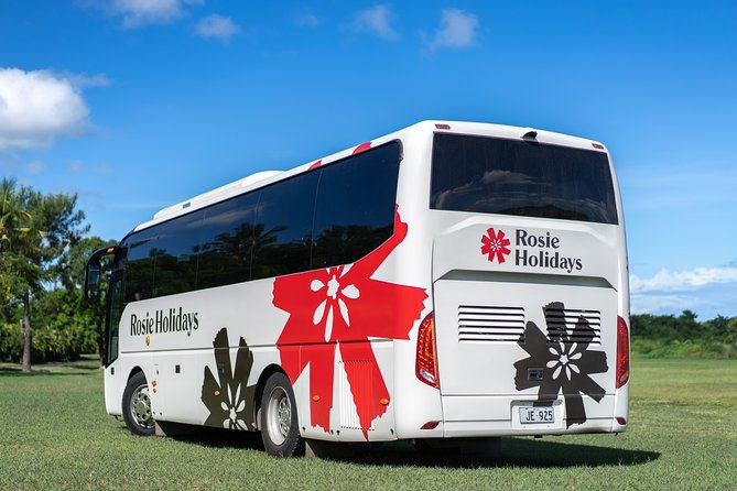 Arrival Shared Transfer : Airport to Hotel - The ride to Nadi, Denarau, and nearby hotels