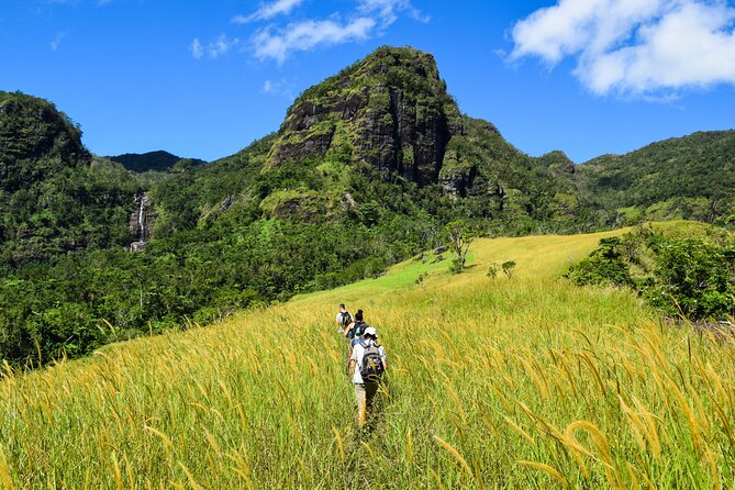 ATV Quad Bike Adventure Tour (Departs Nadi) - What the $168.37 price really covers