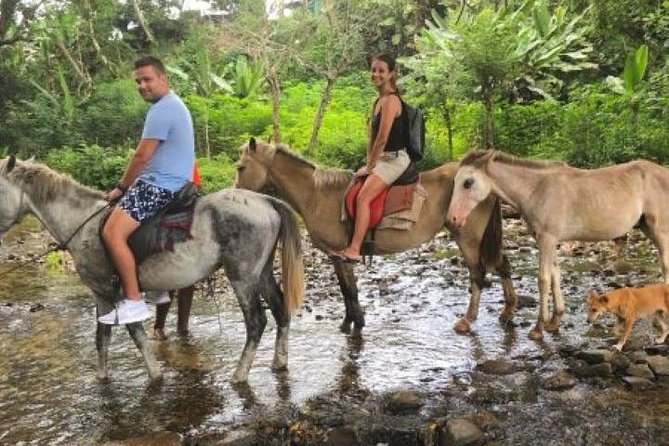 Authentic Fijian Day Tour - Biausevu Waterfall and the three-hour nature stop