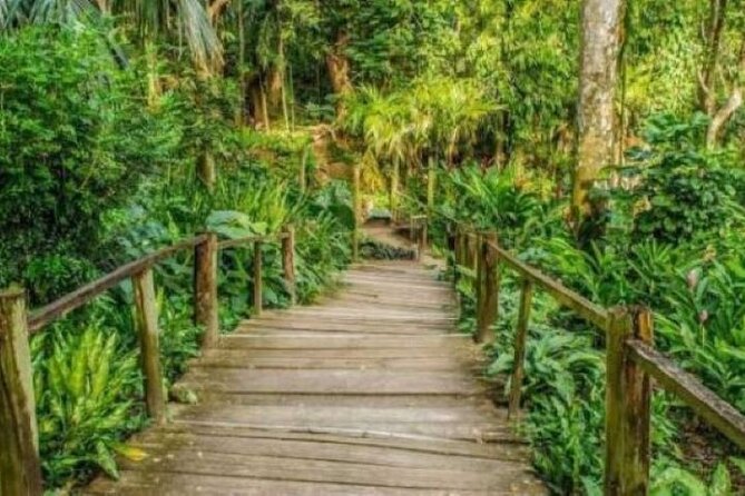 Best of Fiji Tours: 3 Days Package - Practical tips for a smoother three days