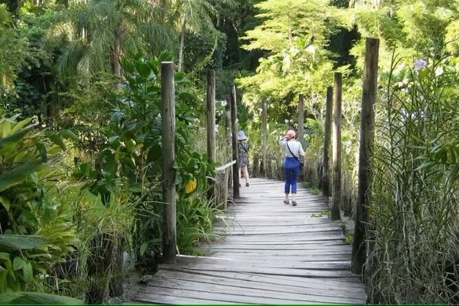 Best of Nadi Highlights - The Vuda school visit depends on the day