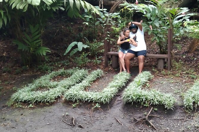 Best of Nadi Sightseeing - Lunch, temple visits, and the flexible route