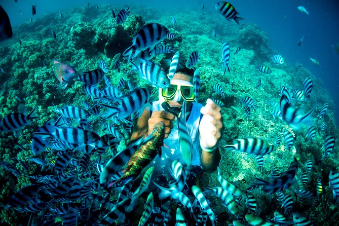 Blue Lagoon Cruises - Wanderer Cruise - 4 Night - Entertainment and the Fijian welcome