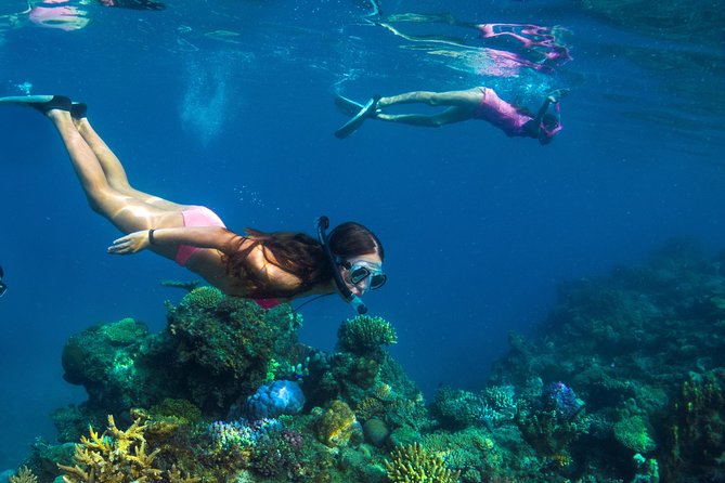 Capt Cook Cruises Super Saver Combo: Day Sail + Dinner Cruise - Lunch, drinks, and the practical comforts