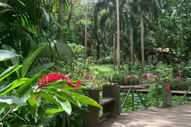 CFC Hot Spring Mud Pool,Garden Of Sleeping Giant And Village Visit Half Day Tour - Why this half-day tour works in Nadi
