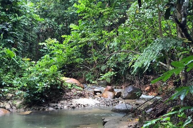 Coral Coast Adventure: Biausevu Waterfall & Natadola Beach - Biausevu Waterfall requires real walking