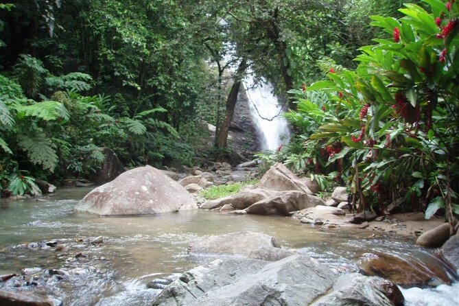 Coral Coast Adventure: Biausevu Waterfall & Natadola Beach - Transport, timing, and comfort