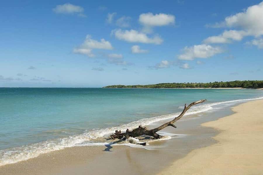 Coral Coast Adventure: Biausevu Waterfall & Natadola Beach - What to pack for the day