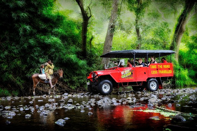 Coral Coast sand dunes & Natadola Beach trip - Who will enjoy this outing most?