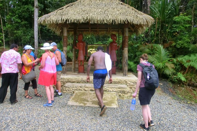 Customized Suva day tour - Colo-i-Suva, forest paths, and the waterfall