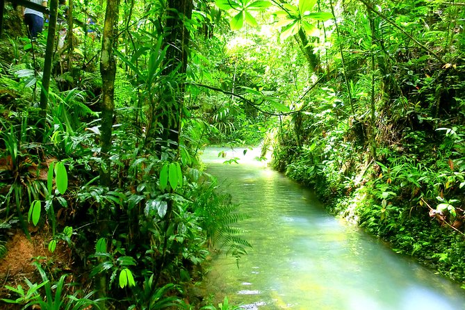 Customized Suva day tour - Local guides make the difference