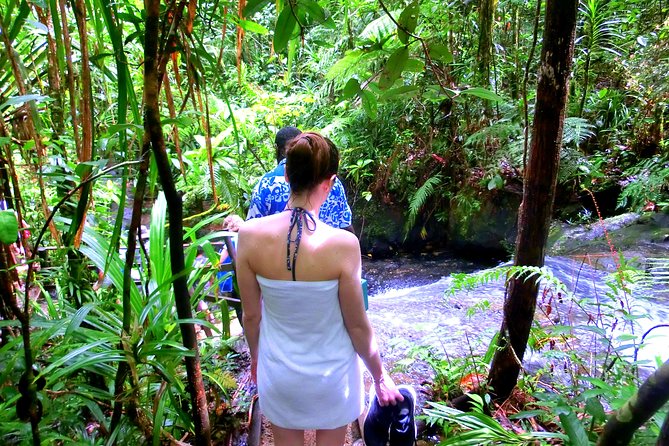 Customized Suva day tour - Is $91.36 per person good value?