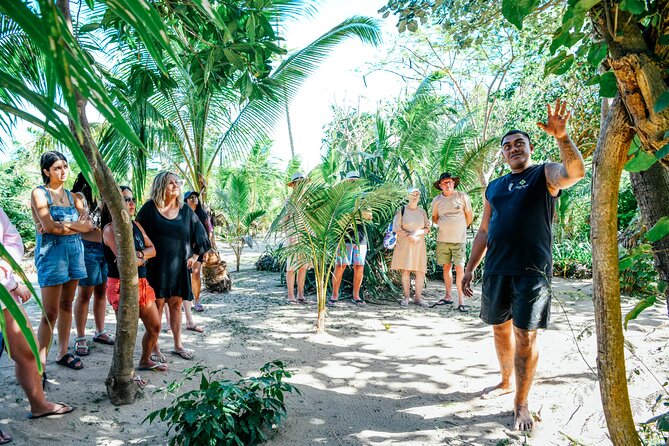 Day and Night Combo Tour - Practical planning before you book