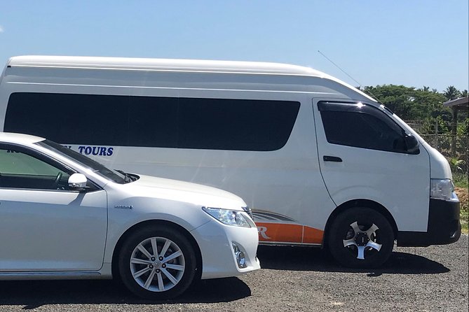 Denarau Hotels to Nadi Airport (Private Departure Transfer) - Leaving Denarau without the airport scramble