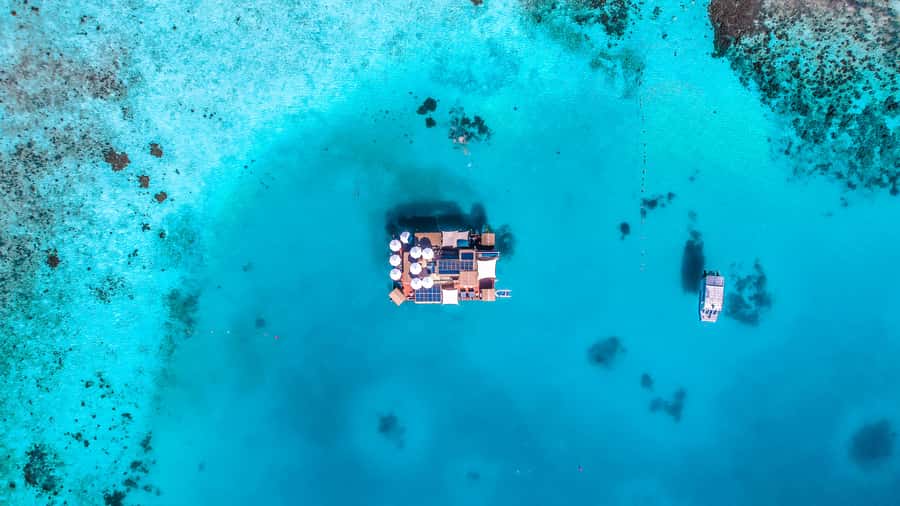 Denarau: Seventh Heaven Floating Bar Day Trip - How to spend the six hours