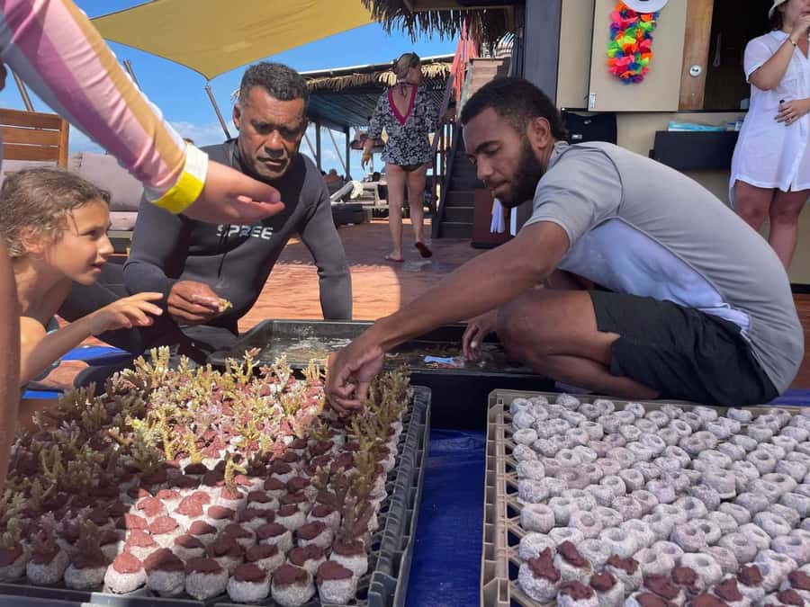 Denarau: Seventh Heaven Floating Bar Day Trip - Food and drinks: enjoyable, but budget carefully