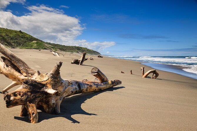 "Discover Fiji's Hidden Gems: Eco Park, Pottery Village & Dunes!" - Transport and group size shape the day