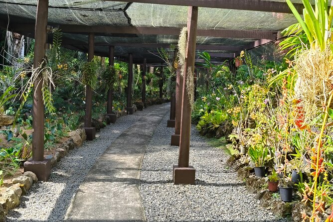 Discover Fiji's Key Attractions in Nadi for a Half-Day Visit - Viseisei Village and the story of Fiji’s first settlement