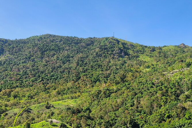 Discover Fiji's Key Attractions in Nadi for a Half-Day Visit - Garden of the Sleeping Giant: the tour’s best chance to slow down