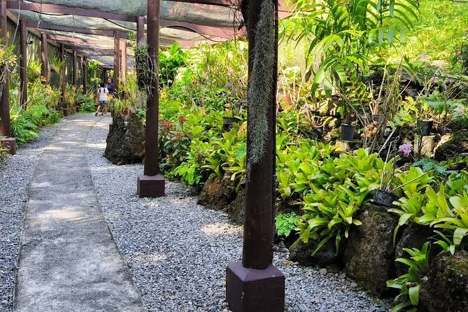 Discover Fiji's Key Attractions in Nadi for a Half-Day Visit - Is $70.55 a fair price?