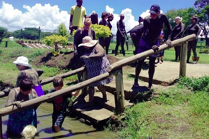 Discover Mud pool/Hot -Spring Nadi - The key facts before you book
