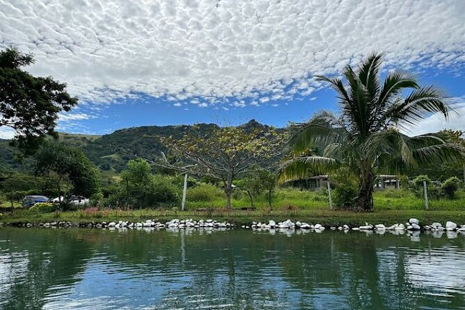 Discover Mud pool/Hot -Spring Nadi - Three hot spring pools and slippery footing