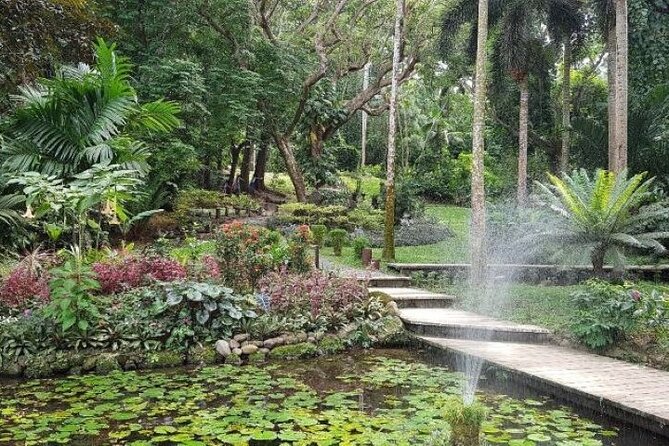 Discover Mud pool/Hot -Spring Nadi - The optional Fijian massage