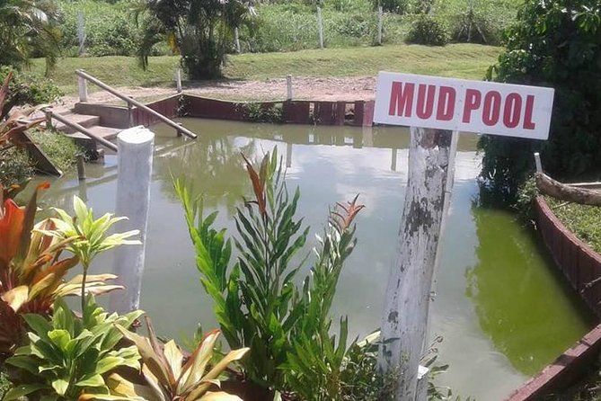 Discover Nadi Tour - The muddy fun of Sabeto Hot Springs and Mud Pool