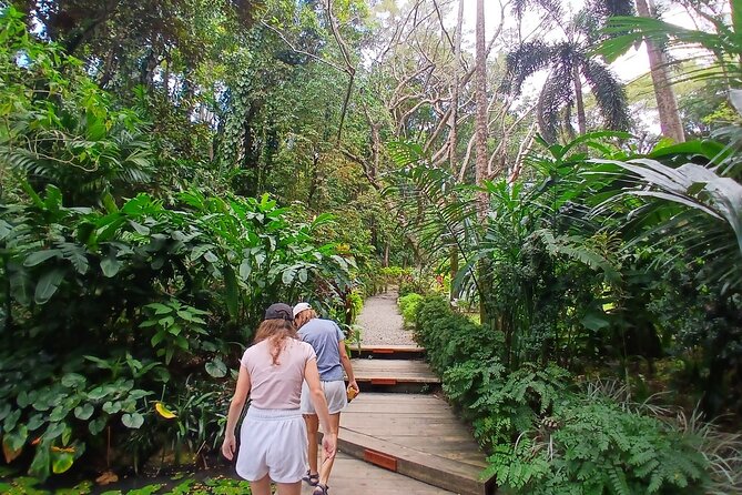 Discover Nadi with Sabeto Hotspring and Mudpool Tour - Sabeto Hot Springs and Mud Pool for two hours