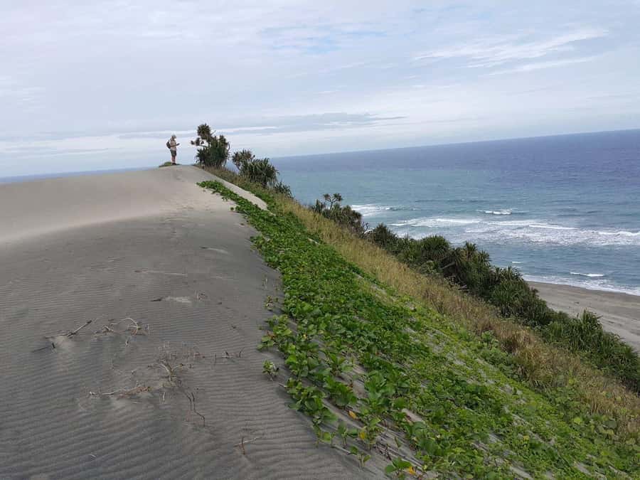 Fiji: Biausevu Waterfall and Sigatoka Sand Dunes Tour - Why this Fiji day trip is worth considering