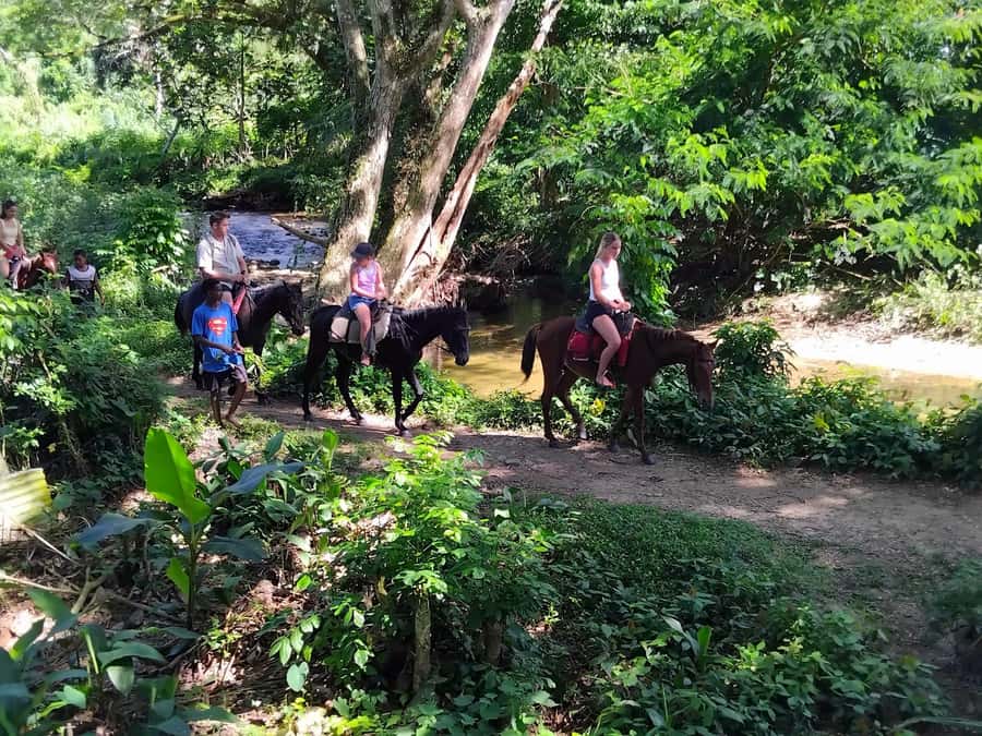 Fiji Biausevu waterfall & Village Tour - Walking through the rainforest to Biausevu Waterfall