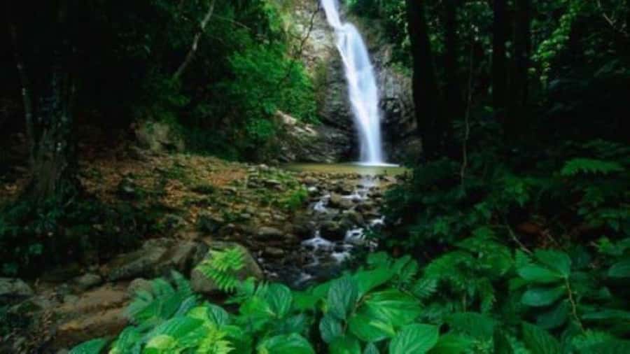 Fiji Biausevu waterfall & Village Tour - Optional 45-minute horseback ride