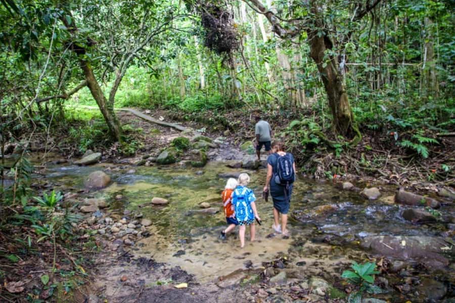 Fiji Biausevu waterfall & Village Tour - What the $119 price really covers