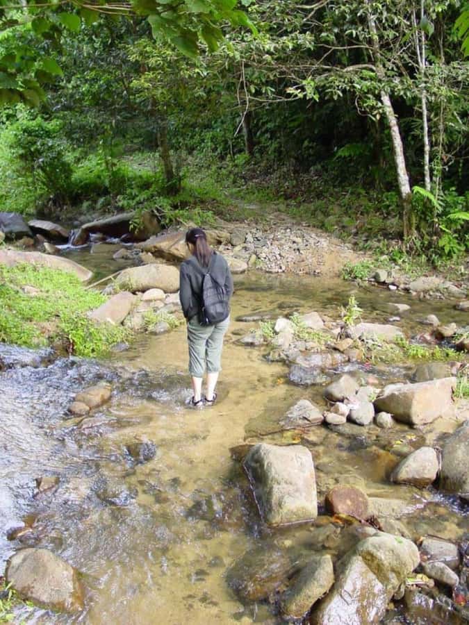 Fiji Biausevu waterfall & Village Tour - Who will enjoy this Fiji outing?