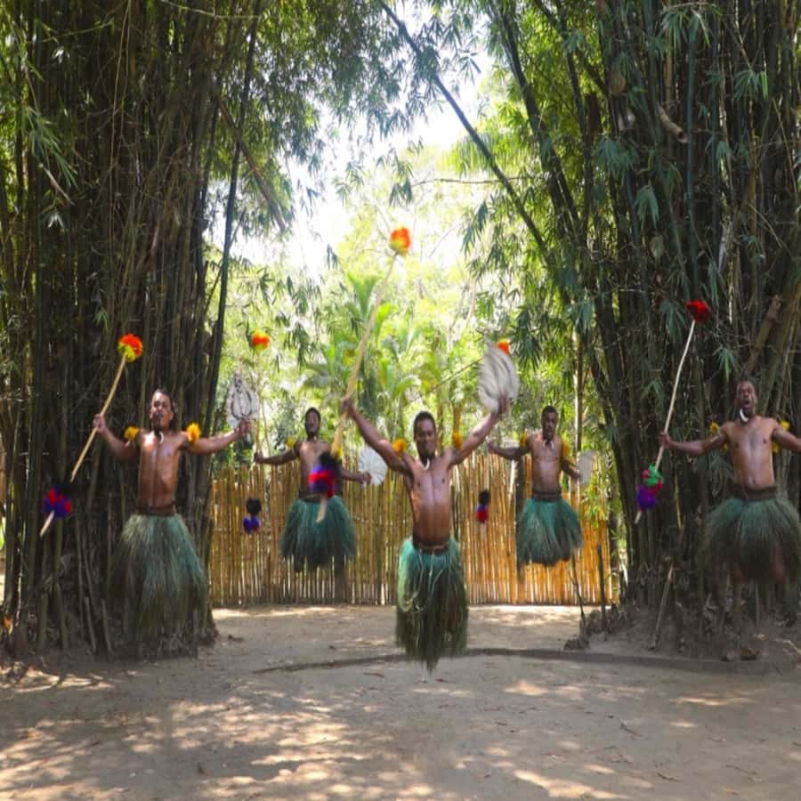 Fiji: Cultural Village Evening Tour with Dinner and Show - Seeing the Lovo Come Out of the Ground