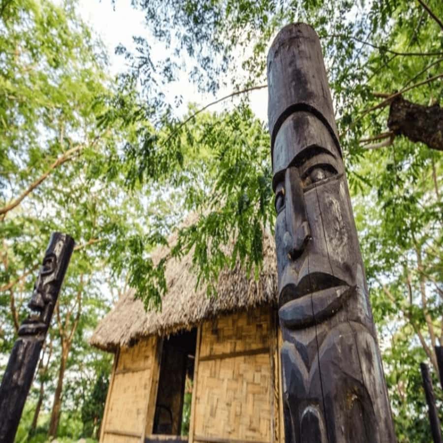 Fiji: Cultural Village Evening Tour with Dinner and Show - A Warrior Welcome Sets the Tone