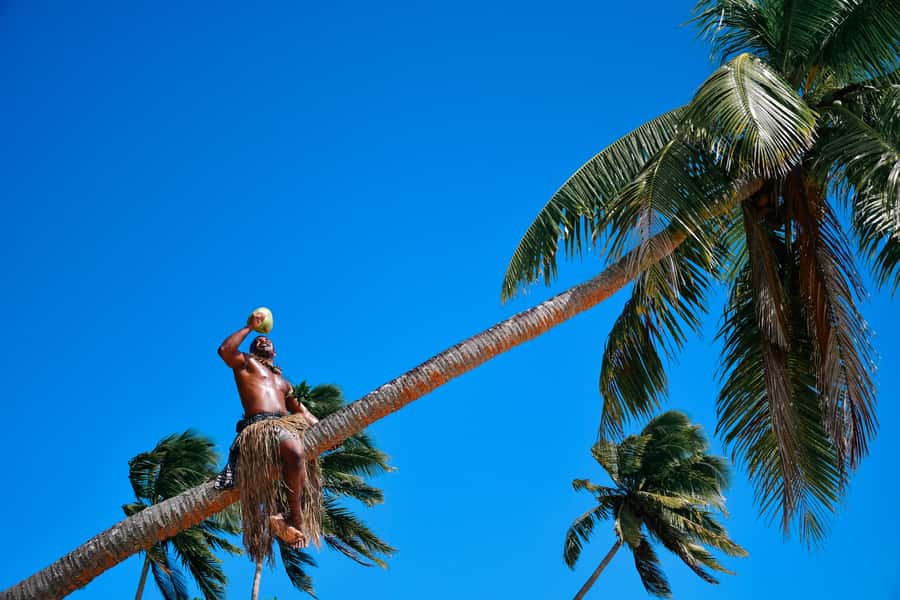 Fiji: Day and Night Combo Tour - Morning pickup and the road to the river