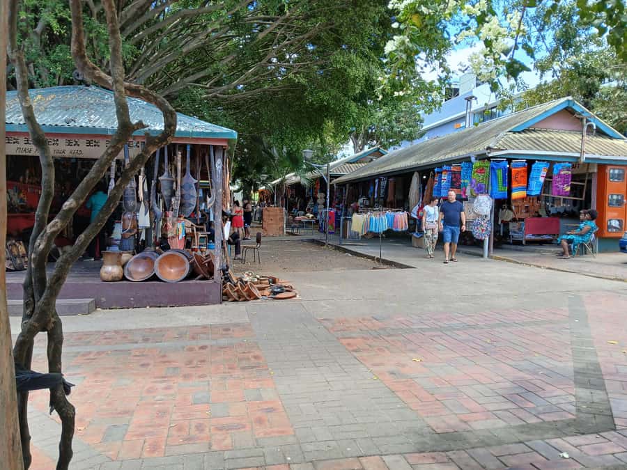 Fiji: Discover Nadi with Sabeto Hotspring and Mudpool Tour - Nadi Handicraft Market and Namaka Mini Market