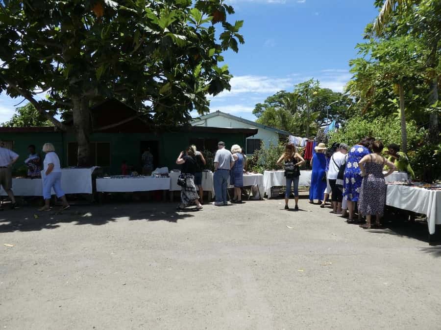 Fiji: Discover Nadi with Sabeto Hotspring and Mudpool Tour - Timing, transfers, and the real pace of the day