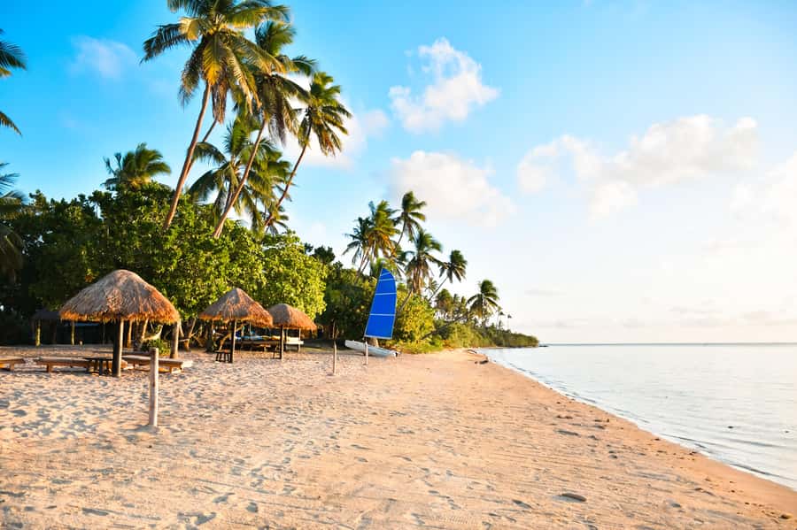 Fiji: Full Day Cultural Island Tour with Lunch & Cruise - The morning transfer and the Tuva River