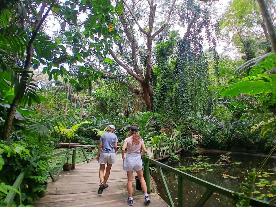 FIJI: Garden of the Sleeping Giant Tour - Key points to know before you go