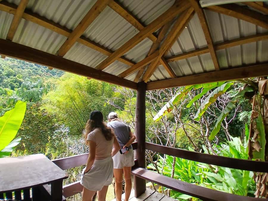 FIJI: Garden of the Sleeping Giant Tour - Entering the orchid collection