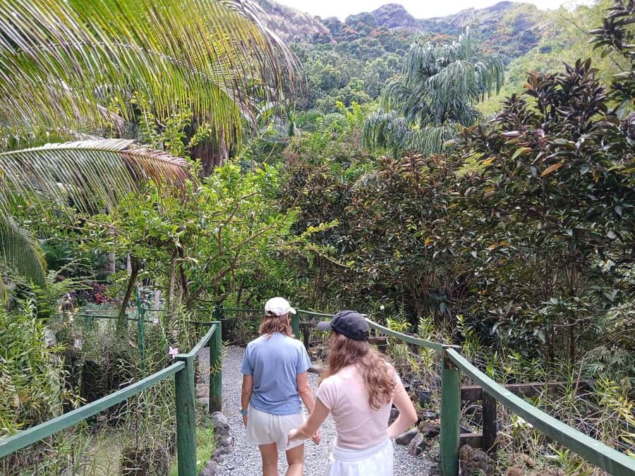 FIJI: Garden of the Sleeping Giant Tour - The climb to the Sleeping Giant lookout