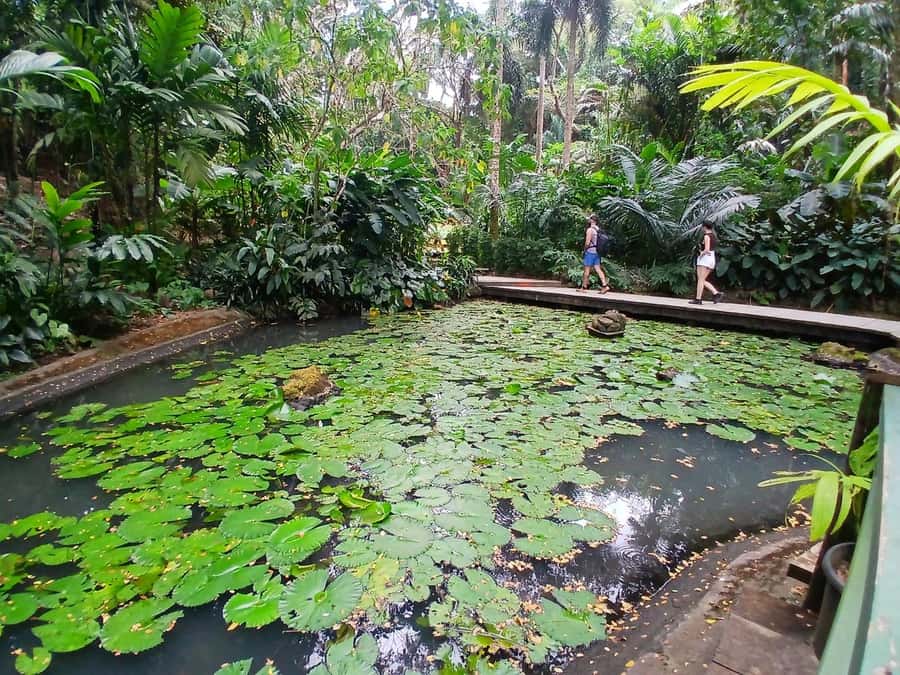 FIJI: Garden of the Sleeping Giant Tour - How long the visit really takes