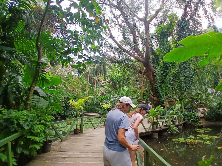 FIJI: Garden of the Sleeping Giant Tour - Who will enjoy this garden most?